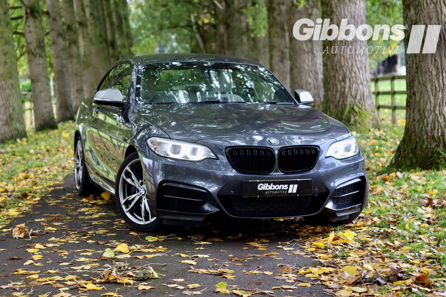 Used BMW 2 Series 2016 for sale - 76162603: Photo 1