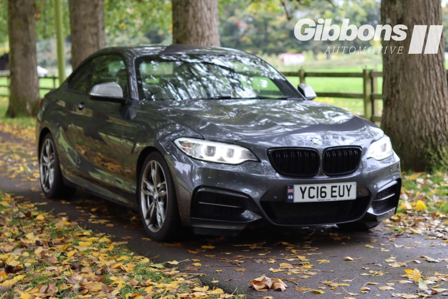 Used BMW 2 Series 2016 for sale - 76162603: Photo 10