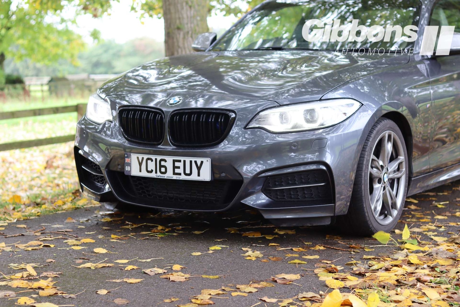 Used BMW 2 Series 2016 for sale - 76162603: Photo 11