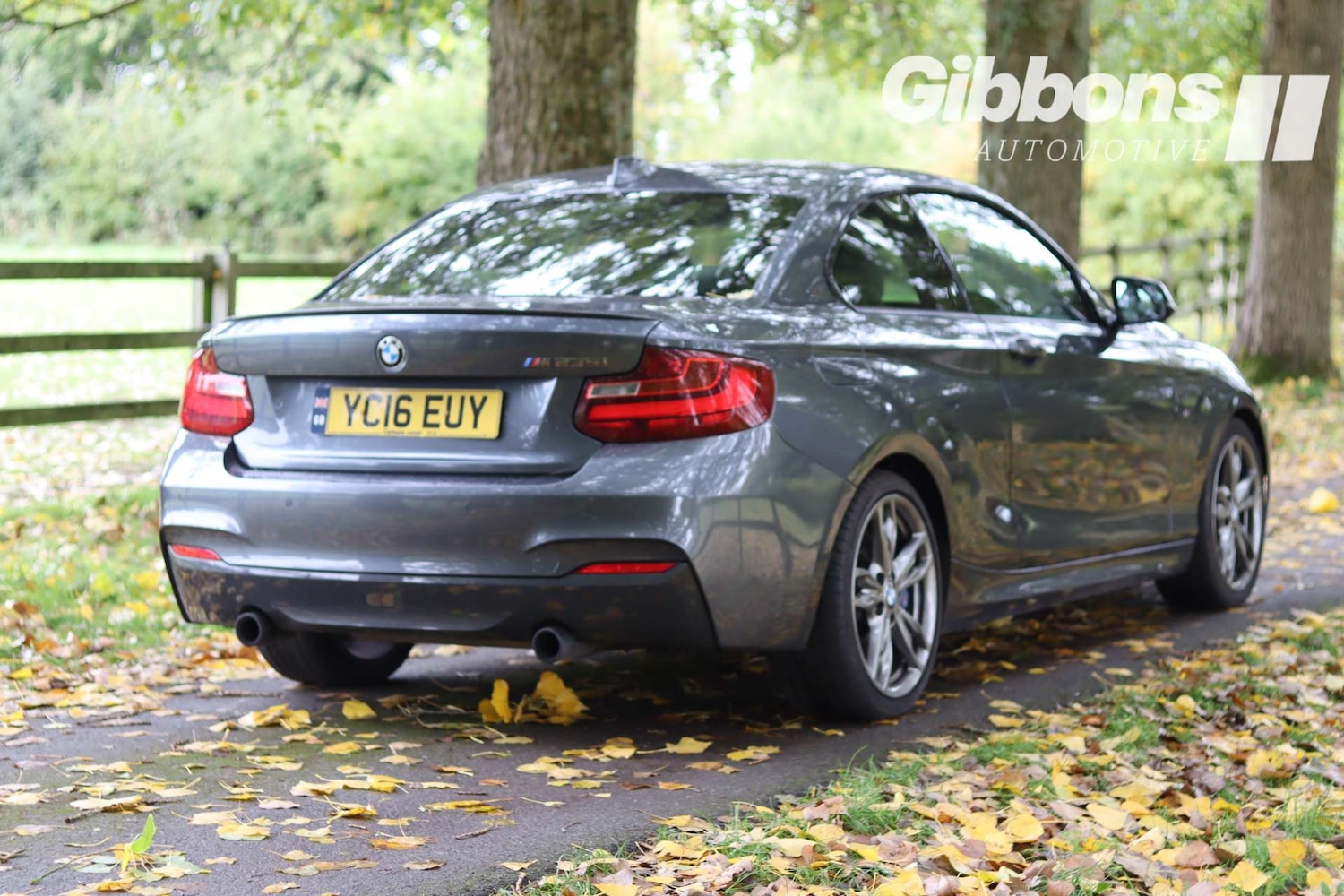 Used BMW 2 Series 2016 for sale - 76162603: Photo 14