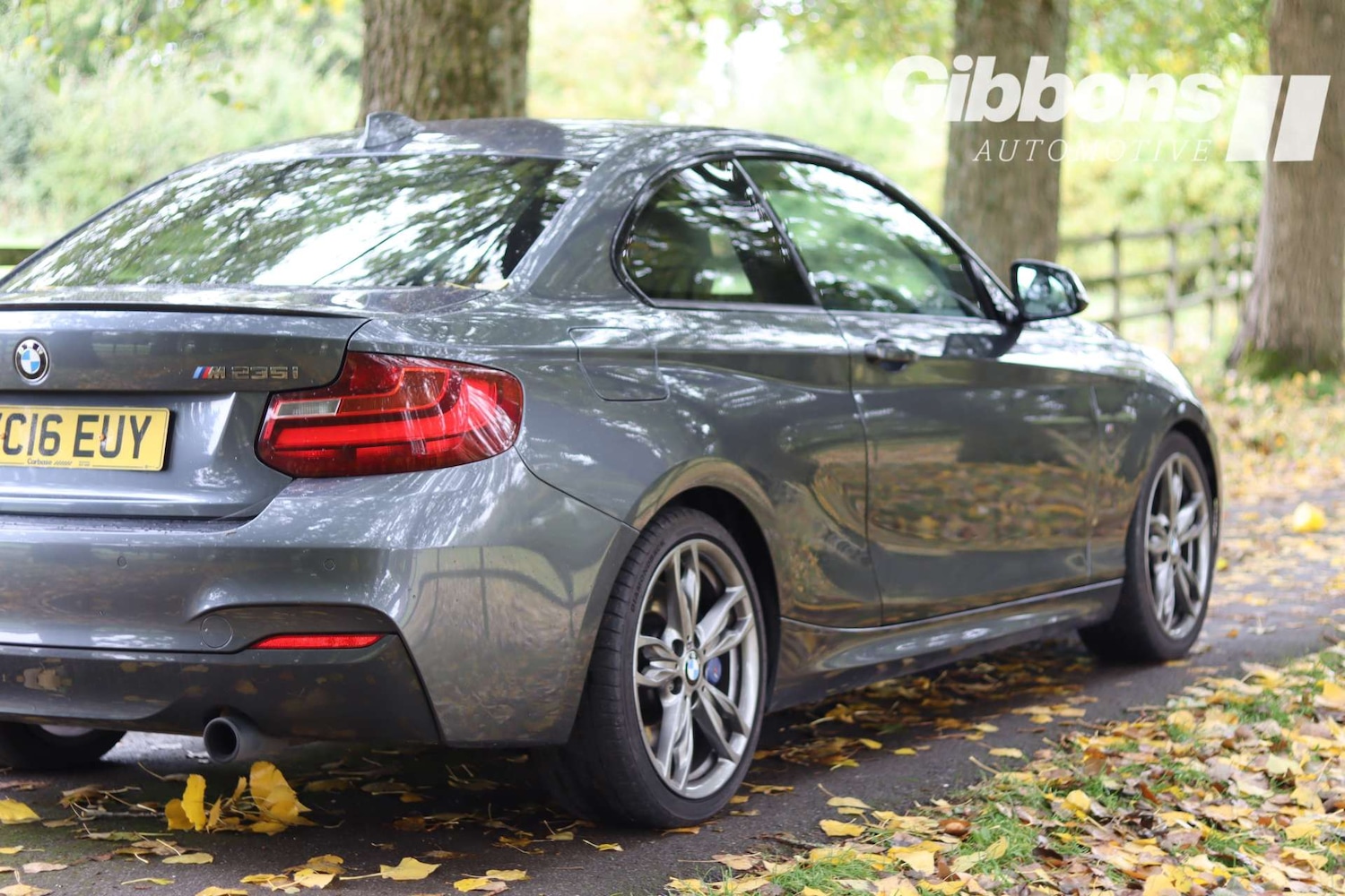 Used BMW 2 Series 2016 for sale - 76162603: Photo 15