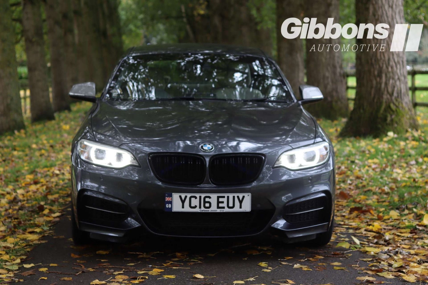 Used BMW 2 Series 2016 for sale - 76162603: Photo 2
