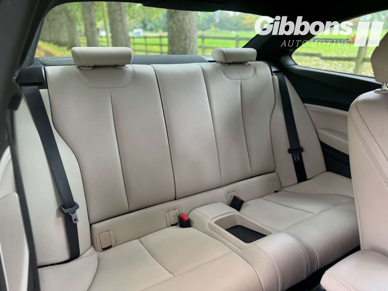 Used BMW 2 Series 2016 for sale - 76162603: Photo 23