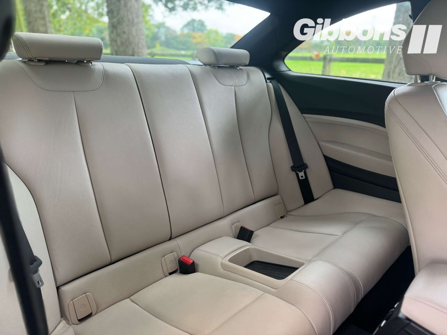 Used BMW 2 Series 2016 for sale - 76162603: Photo 24