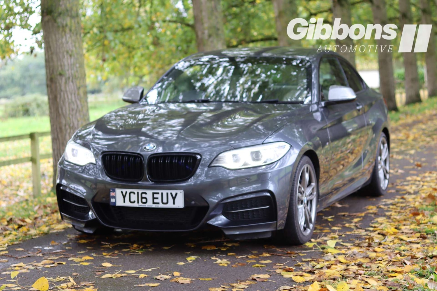 Used BMW 2 Series 2016 for sale - 76162603: Photo 3