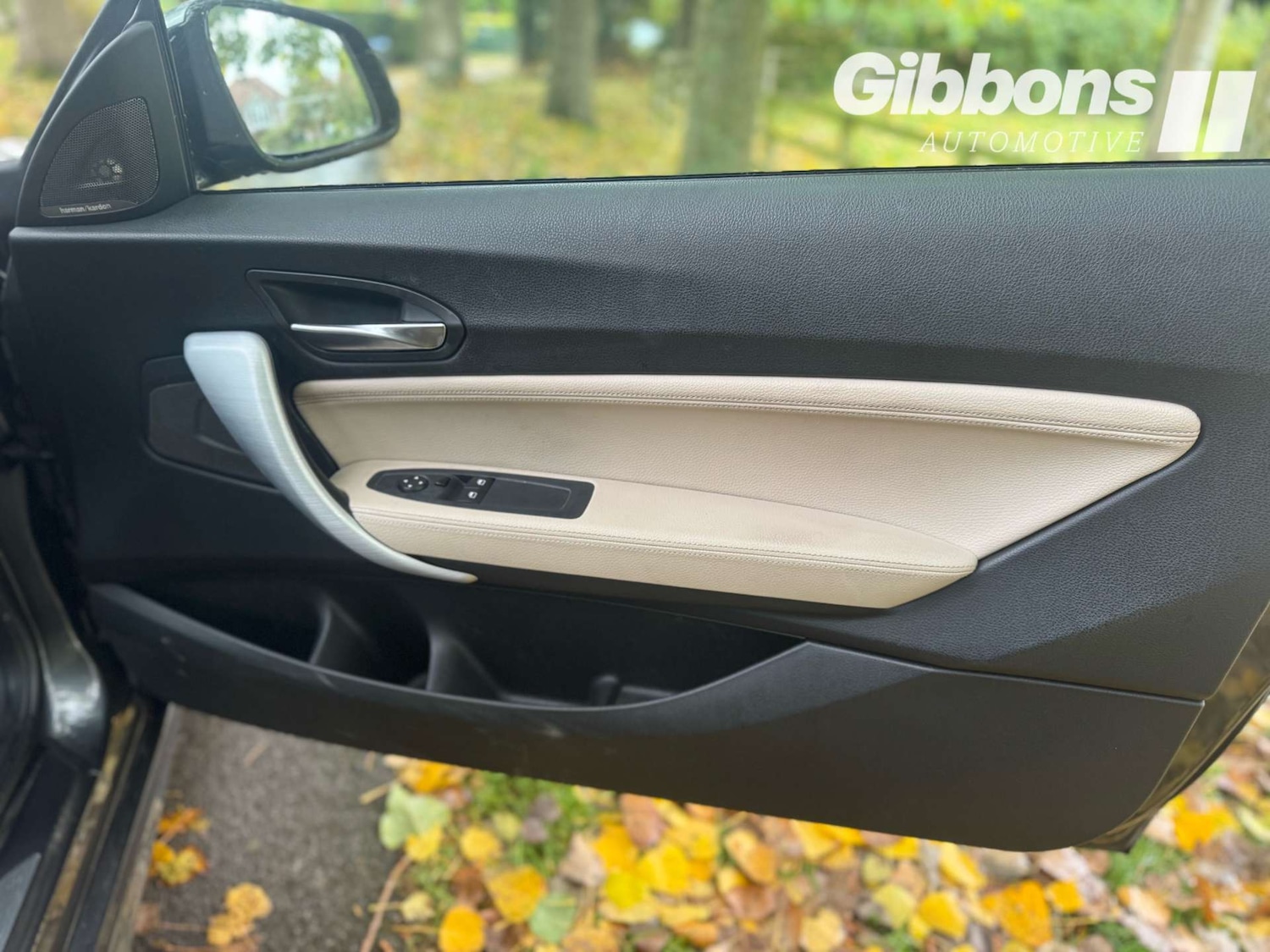 Used BMW 2 Series 2016 for sale - 76162603: Photo 35