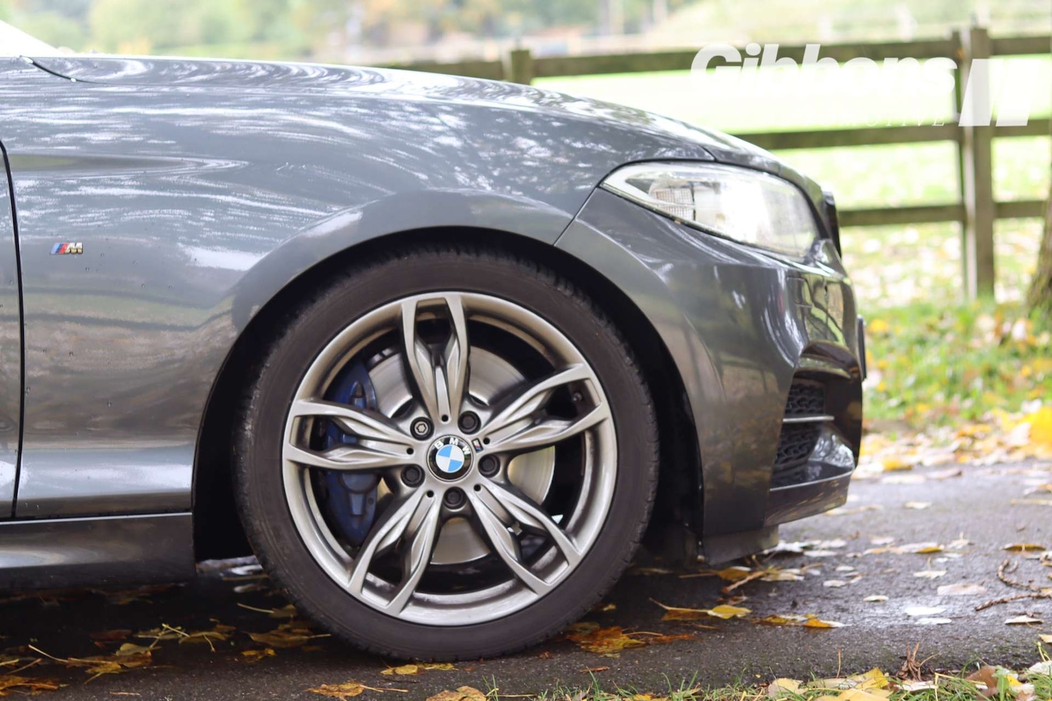 Used BMW 2 Series 2016 for sale - 76162603: Photo 37