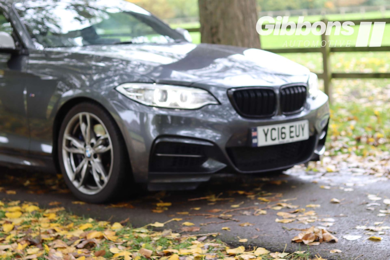 Used BMW 2 Series 2016 for sale - 76162603: Photo 5