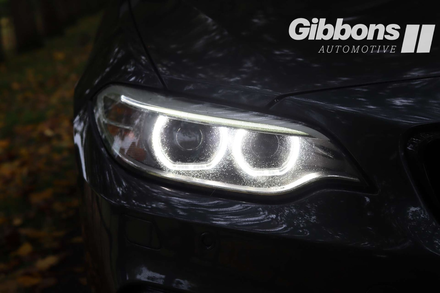 Used BMW 2 Series 2016 for sale - 76162603: Photo 56