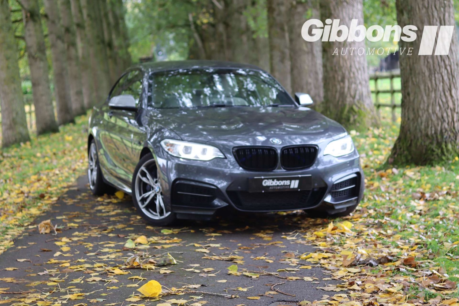 Used BMW 2 Series 2016 for sale - 76162603: Photo 6