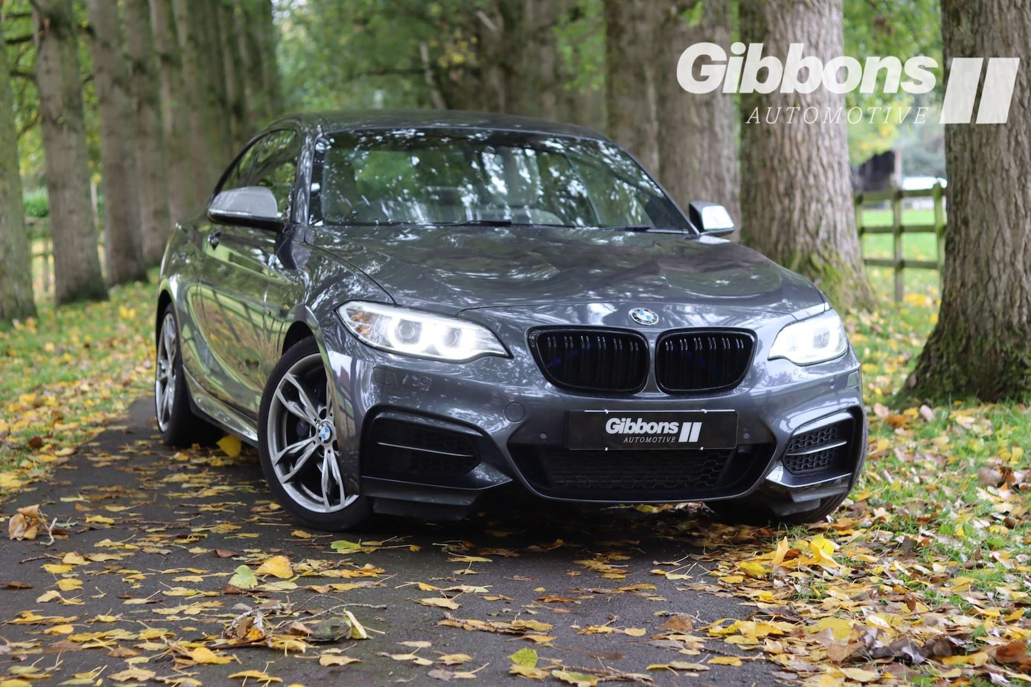 Used BMW 2 Series 2016 for sale - 76162603: Photo 7