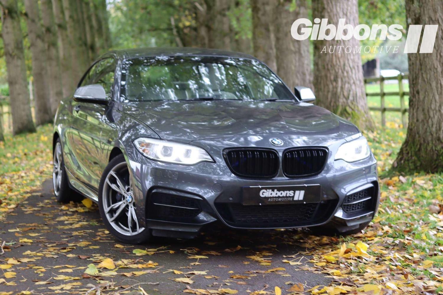 Used BMW 2 Series 2016 for sale - 76162603: Photo 8