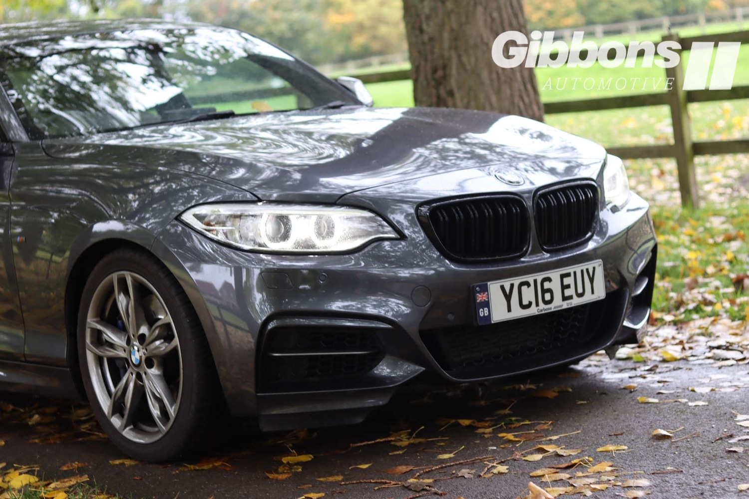 Used BMW 2 Series 2016 for sale - 76162603: Photo 9