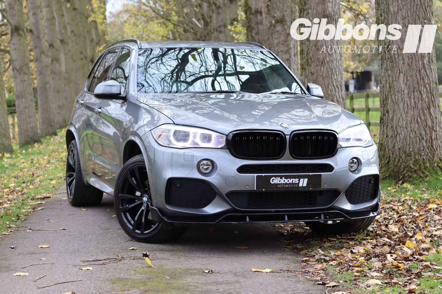 Used BMW X5 2015 for sale - 76481440: Photo 1