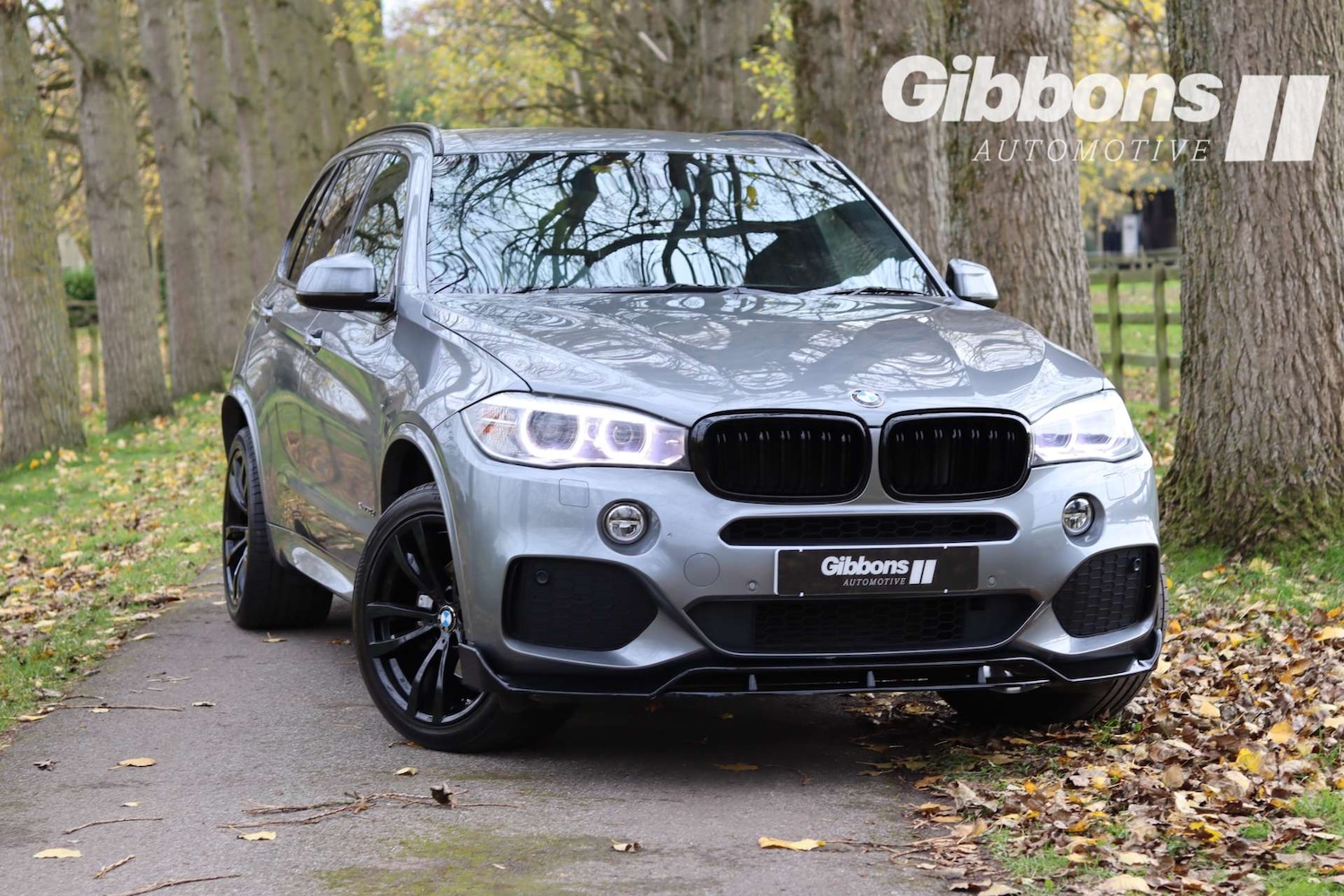 Used BMW X5 2015 for sale - 76481440: Photo 9