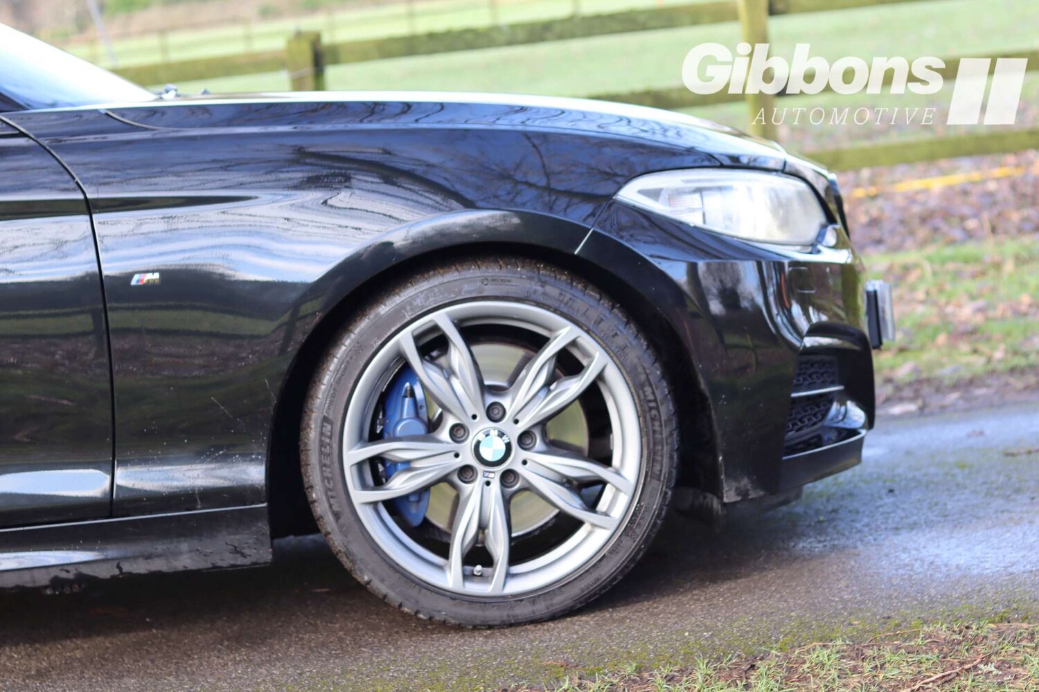 Used BMW 2 Series 2016 for sale - 77422816: Photo 39