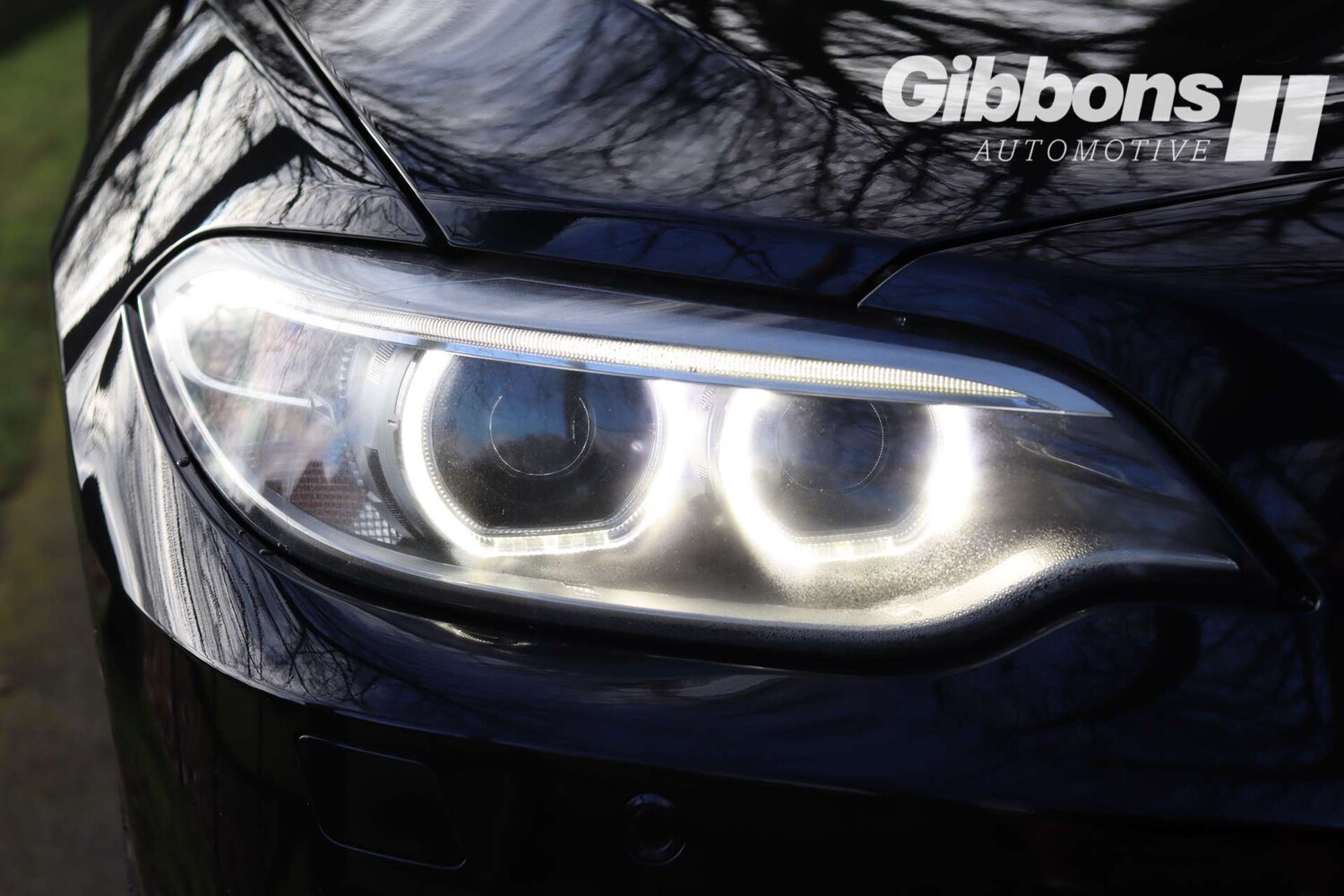 Used BMW 2 Series 2016 for sale - 77422816: Photo 49