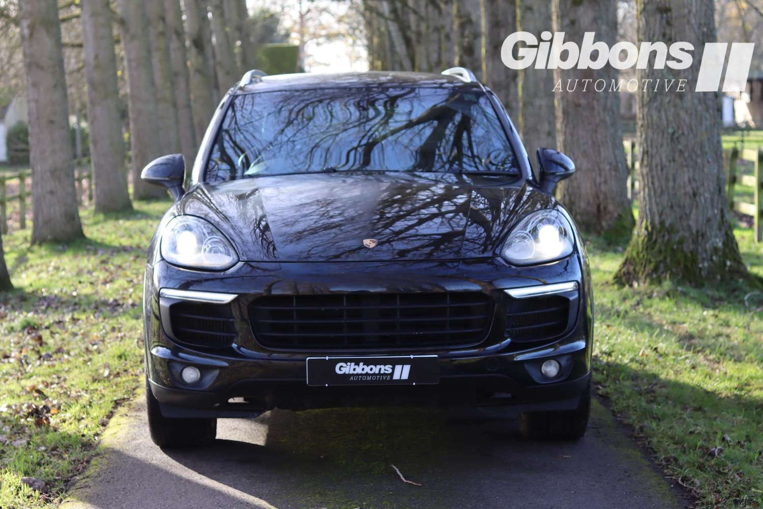 Used Porsche Cayenne 2016 for sale - 76724032: Photo 42