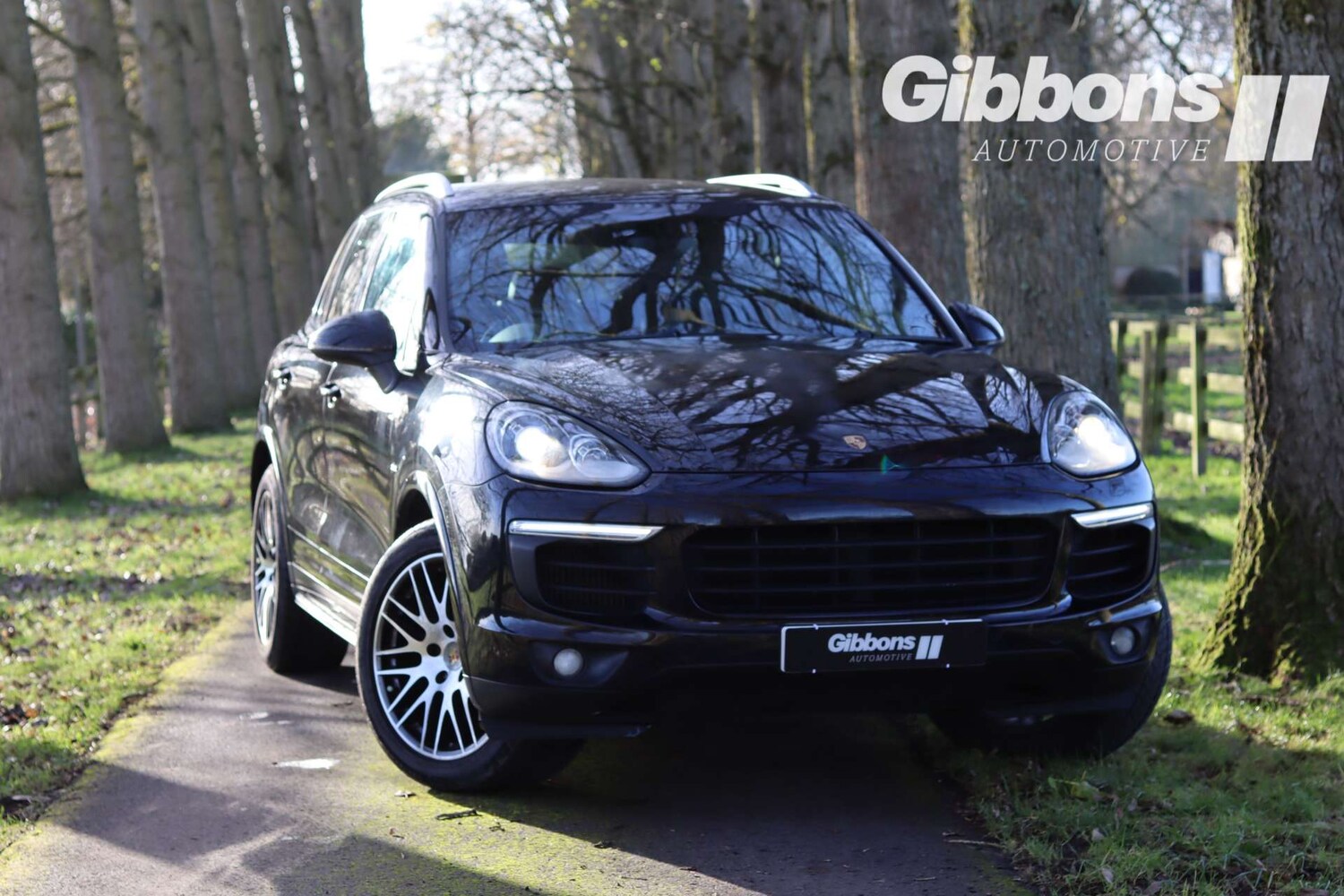 Used Porsche Cayenne 2016 for sale - 76724032: Photo 48