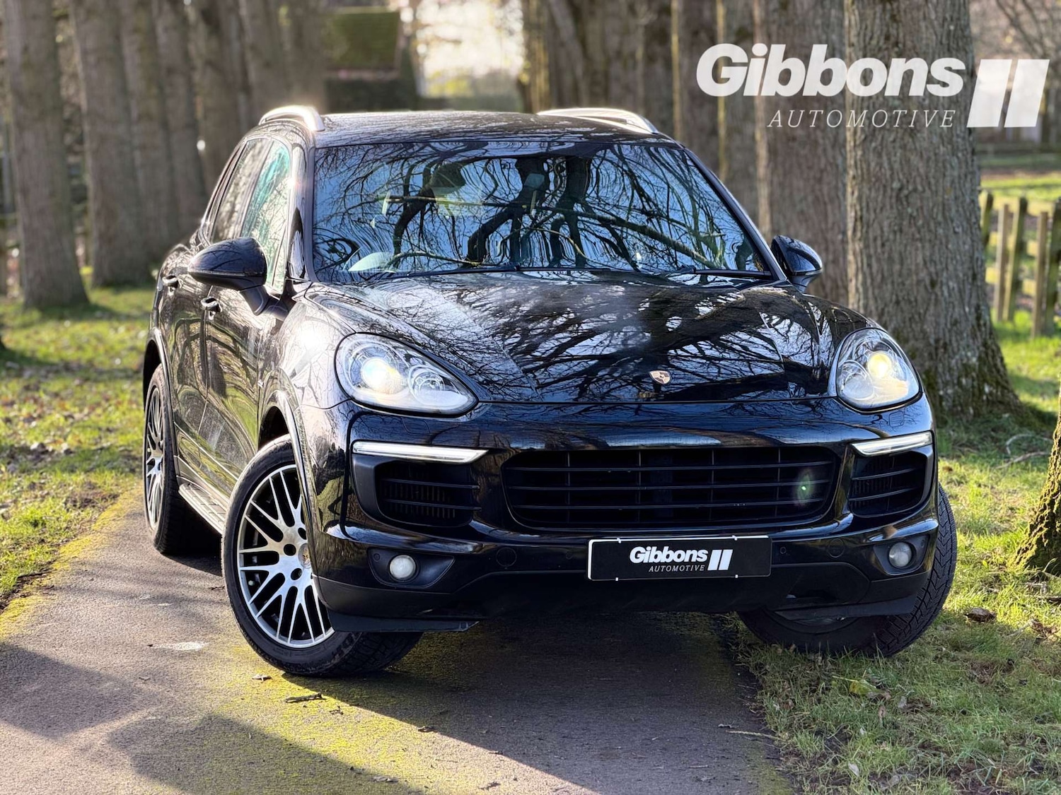 Used Porsche Cayenne 2016 for sale - 76724032: Photo 63