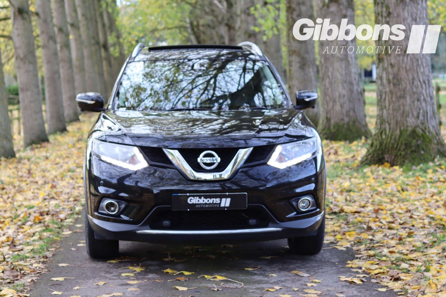 Used Nissan X-Trail 2016 for sale - 76356056: Photo 2
