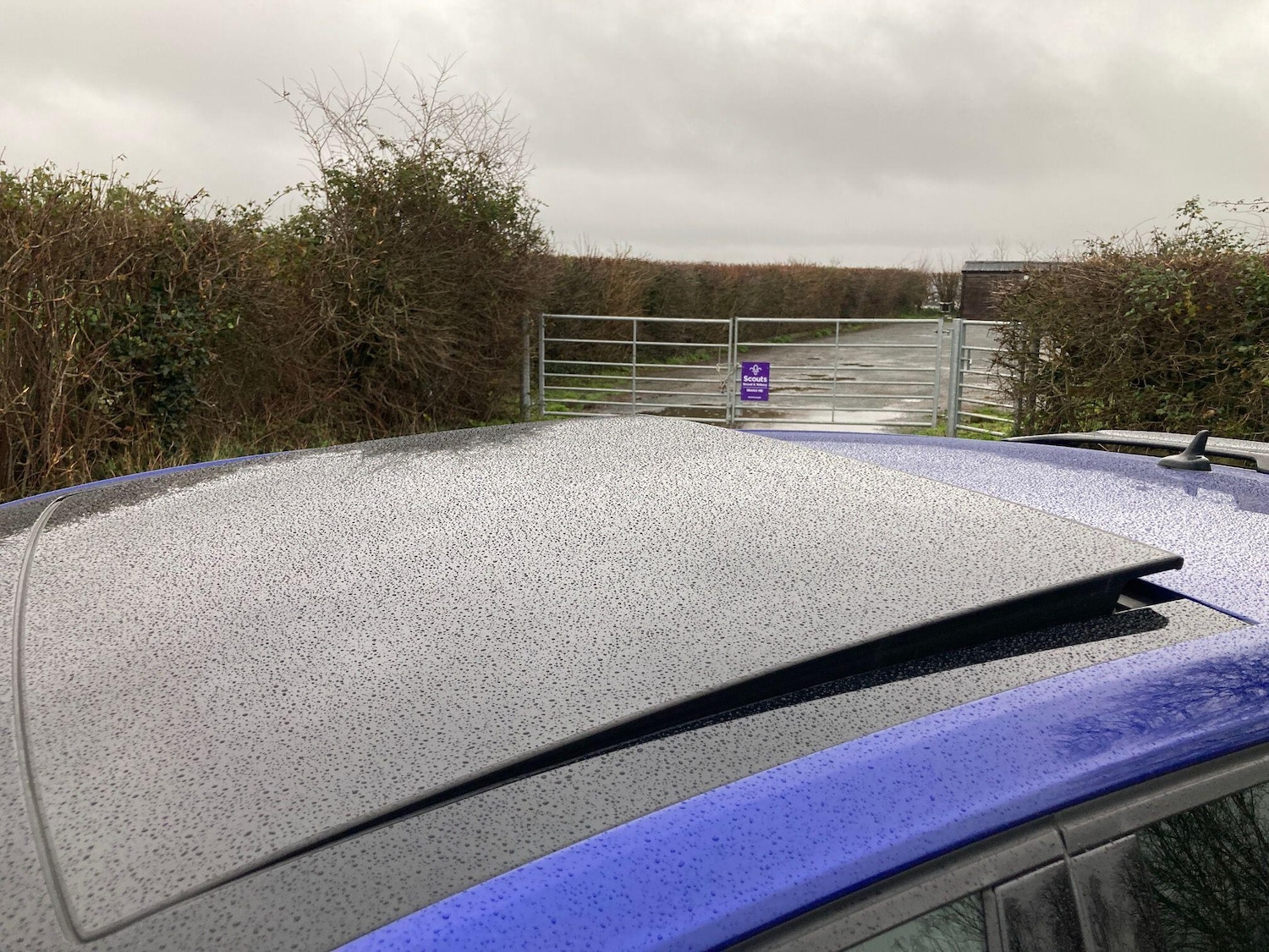 Used Volkswagen Golf 2020 for sale - 77021150: Photo 34