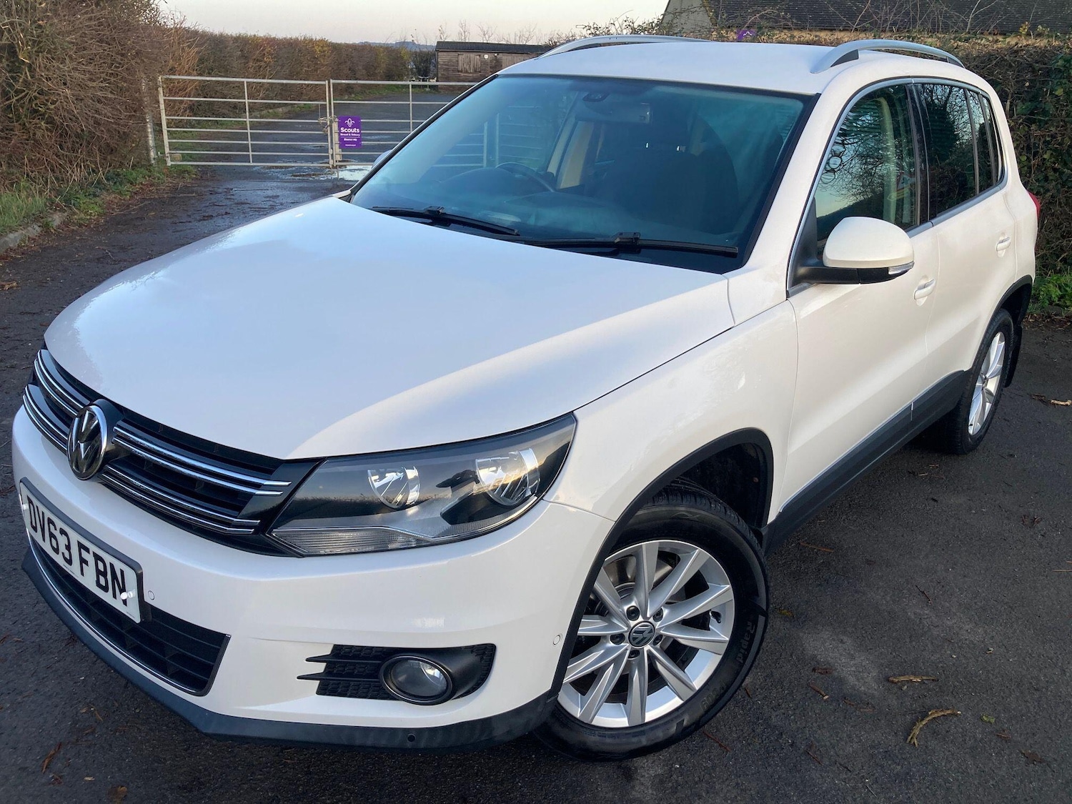 Used Volkswagen Tiguan 2013 for sale - 77616802: Photo 8