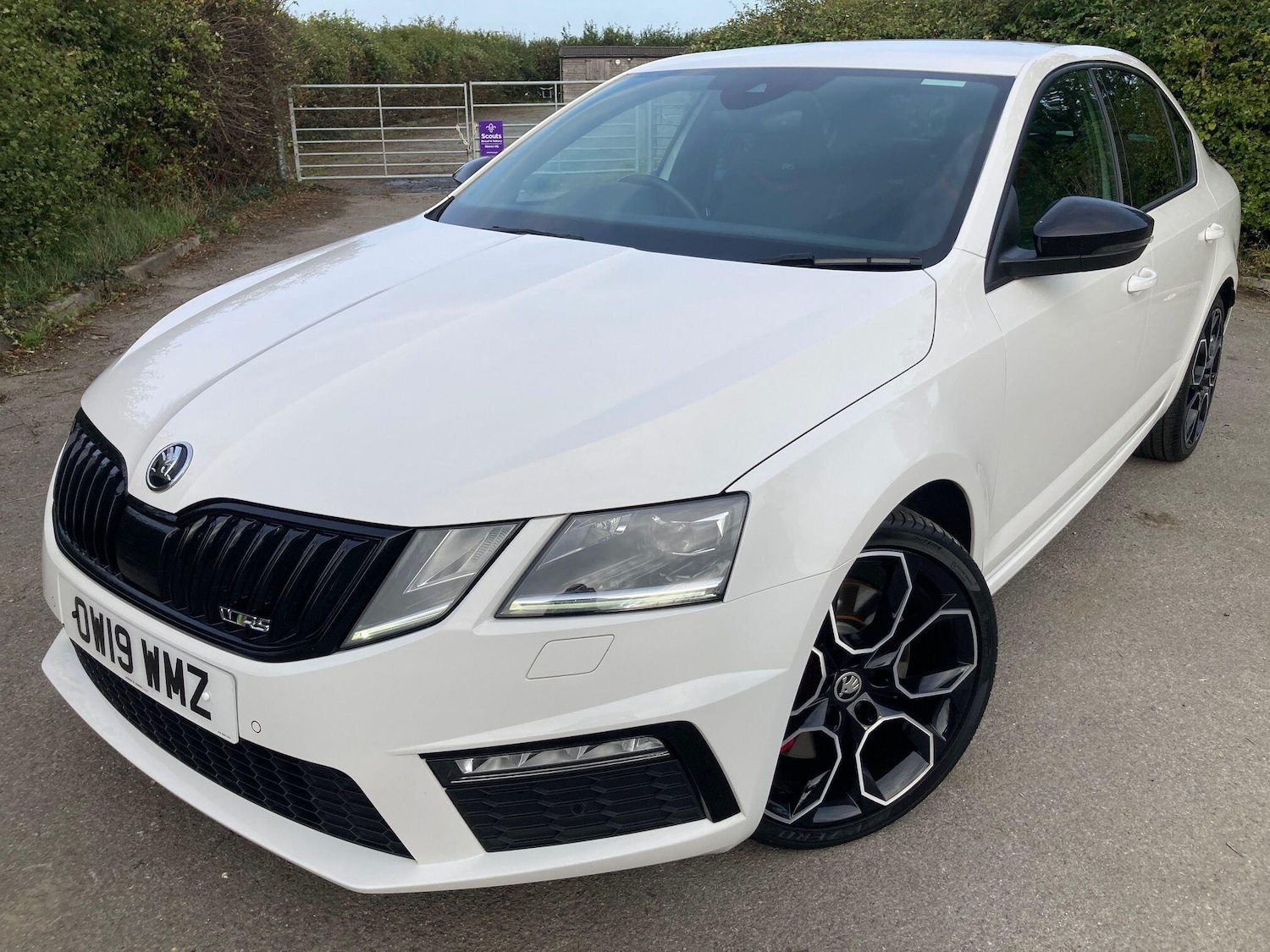 Used Skoda Octavia 2019 for sale - 76701223: Photo 10