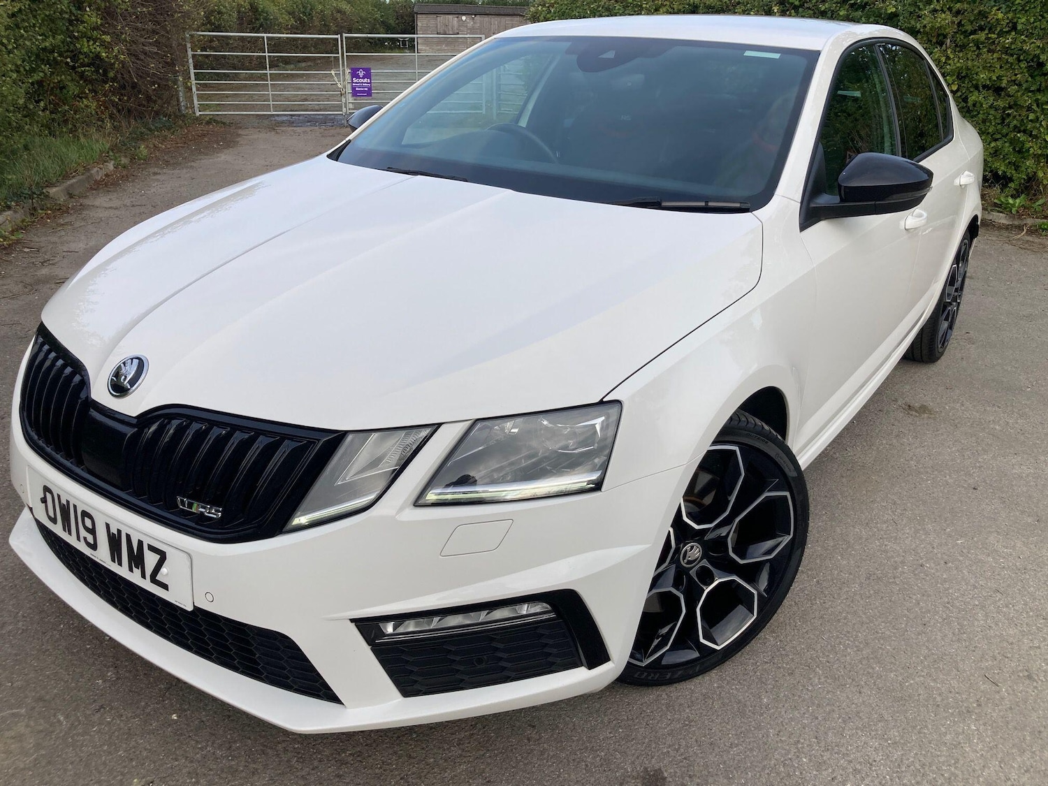 Used Skoda Octavia 2019 for sale - 76701223: Photo 11