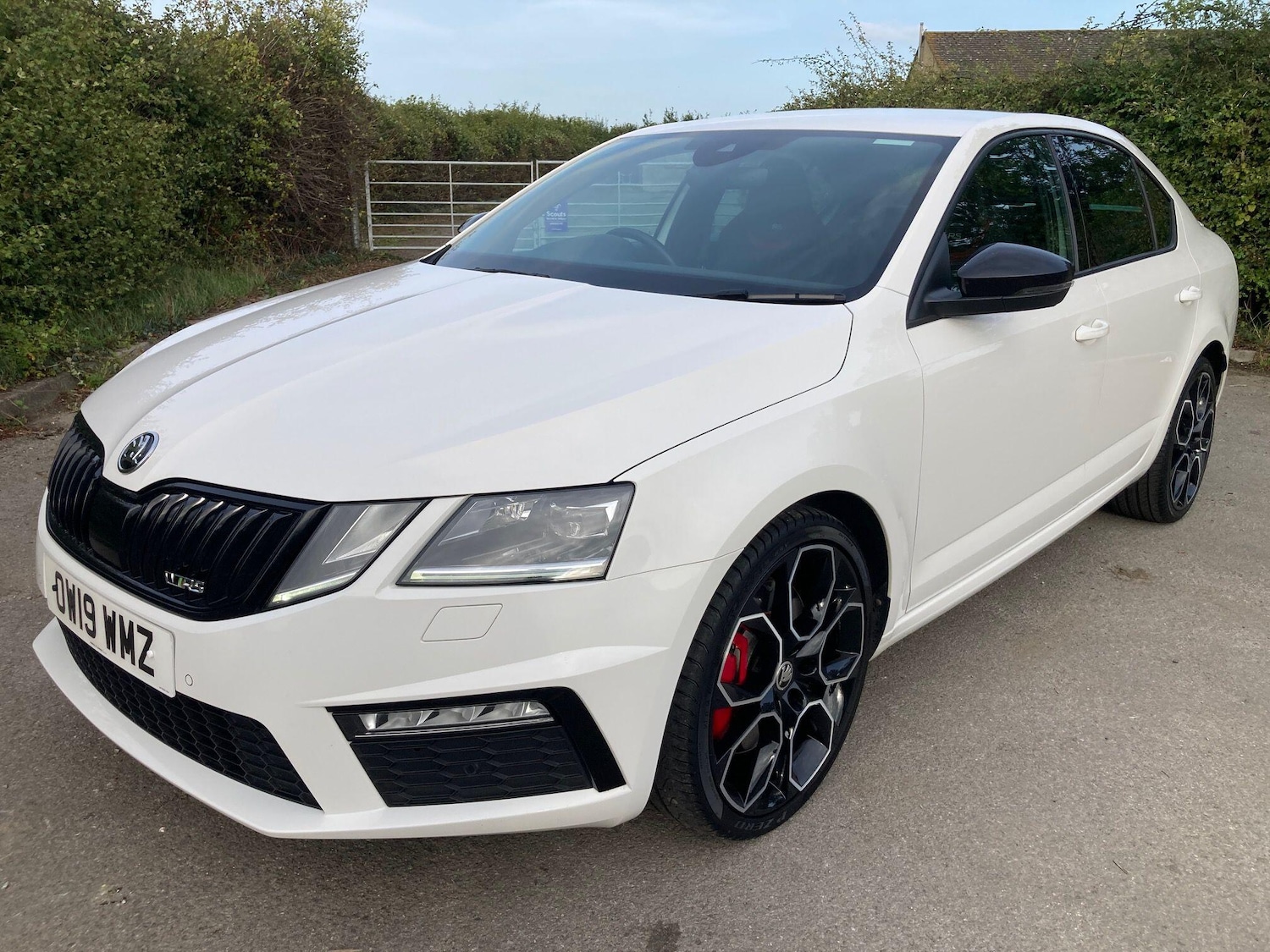 Used Skoda Octavia 2019 for sale - 76701223: Photo 14