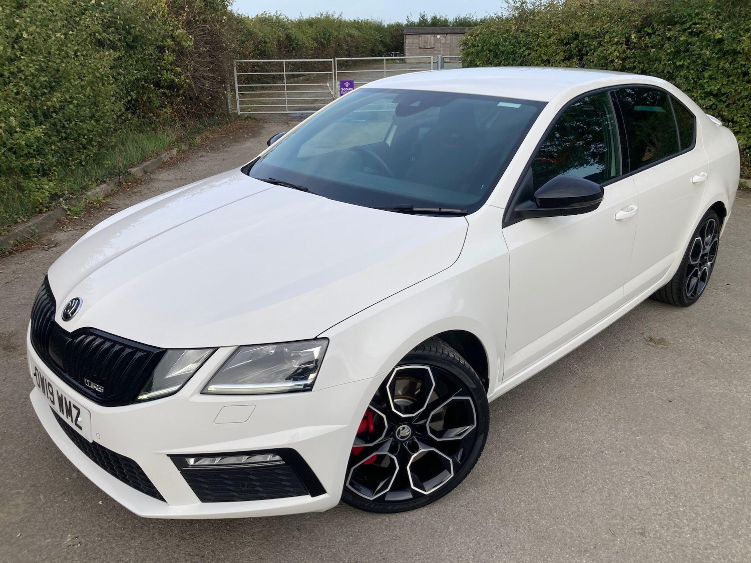 Used Skoda Octavia 2019 for sale - 77616797: Photo 2