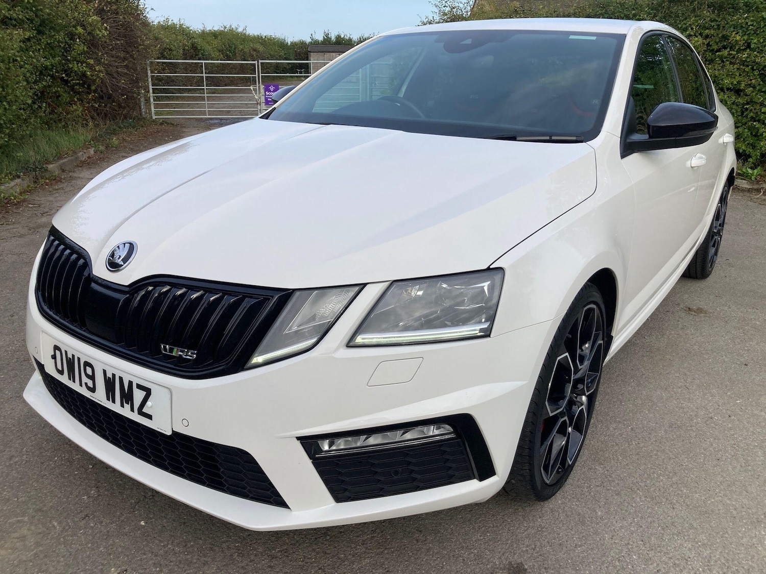 Used Skoda Octavia 2019 for sale - 77647601: Photo 13