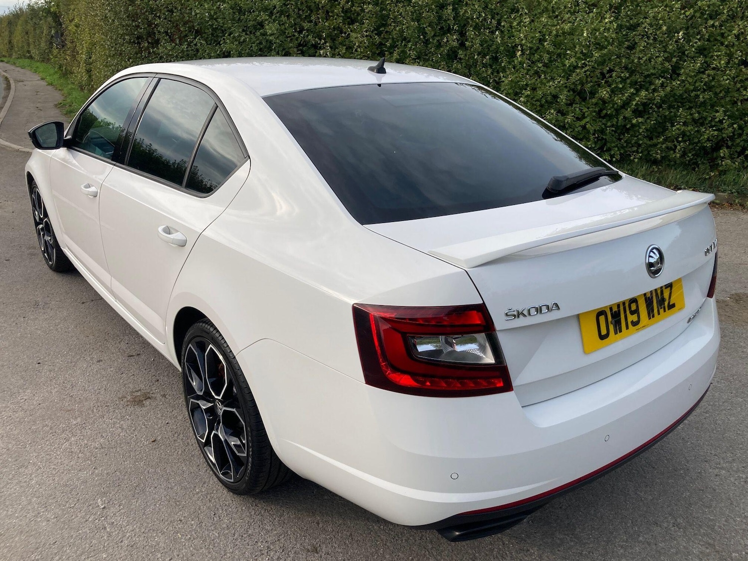Used Skoda Octavia 2019 for sale - 77647601: Photo 16