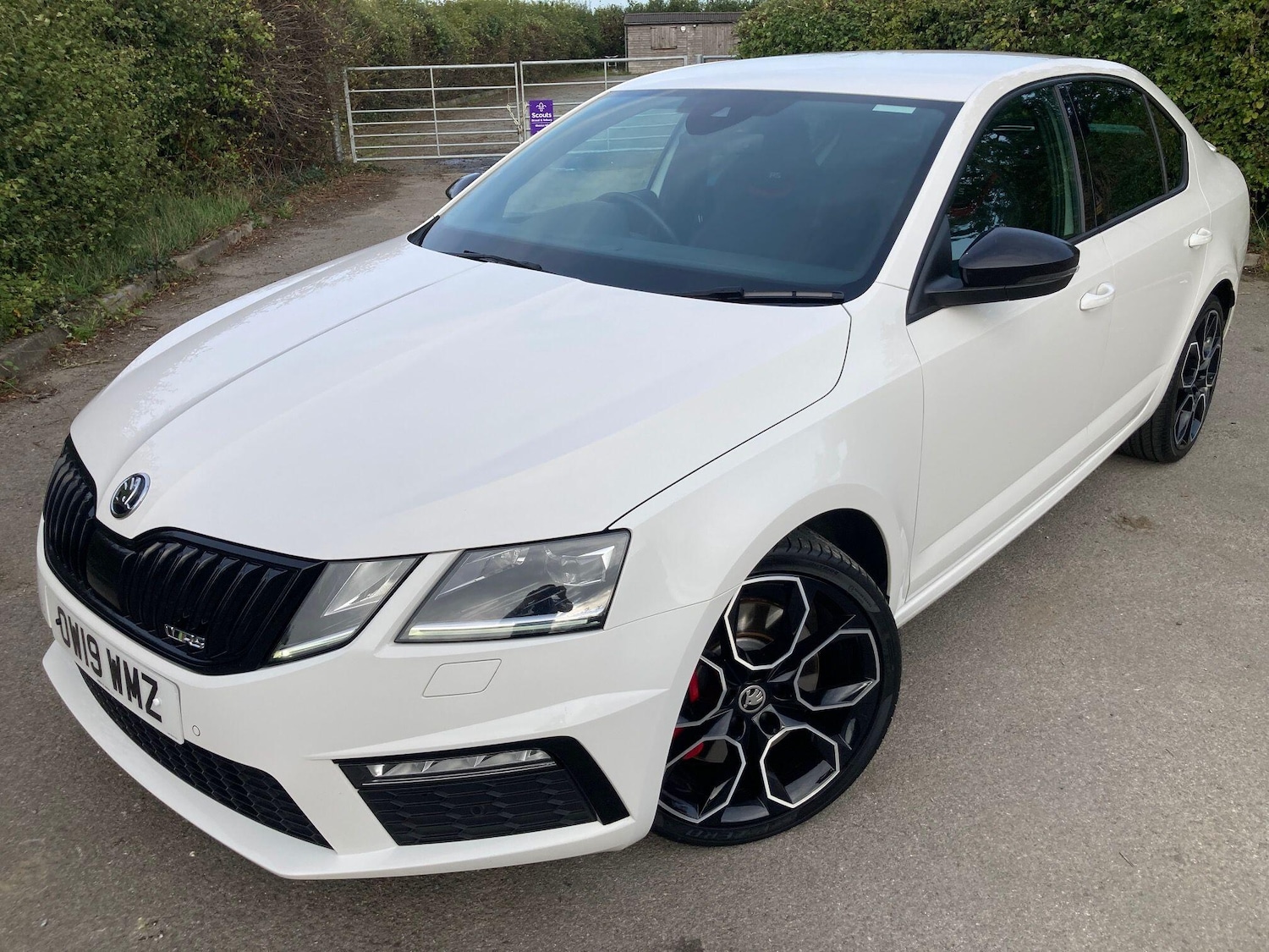 Used Skoda Octavia 2019 for sale - 77685234: Photo 5