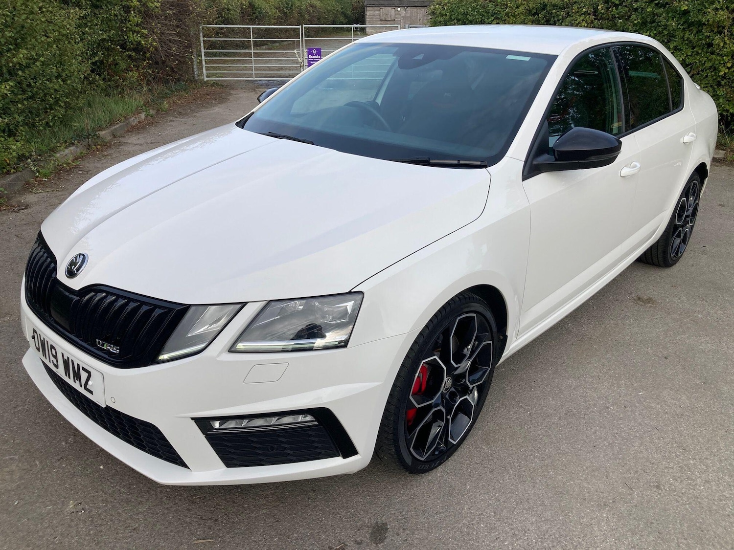 Used Skoda Octavia 2019 for sale - 77570582: Photo 12
