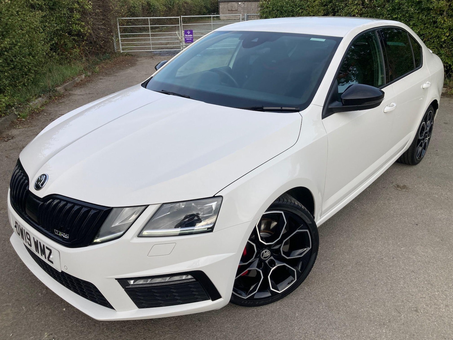 Used Skoda Octavia 2019 for sale - 77570582: Photo 3