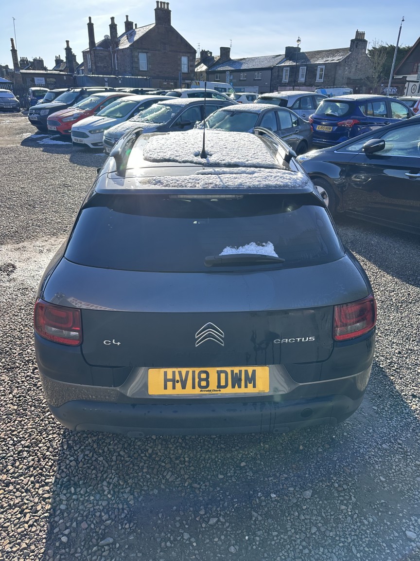 Used Citroen C4 Cactus 2018 for sale - 77385281: Photo 12