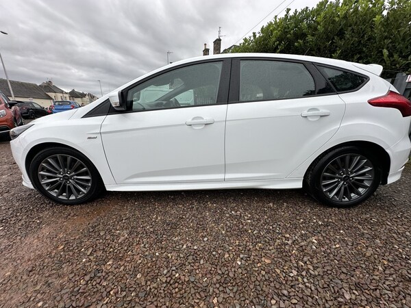 Used Ford Focus 2017 for sale - 76093644: Photo 11