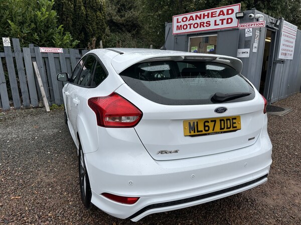 Used Ford Focus 2017 for sale - 76093644: Photo 13