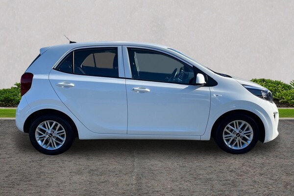 Used Kia Picanto 2023 for sale - 76289041: Photo 4