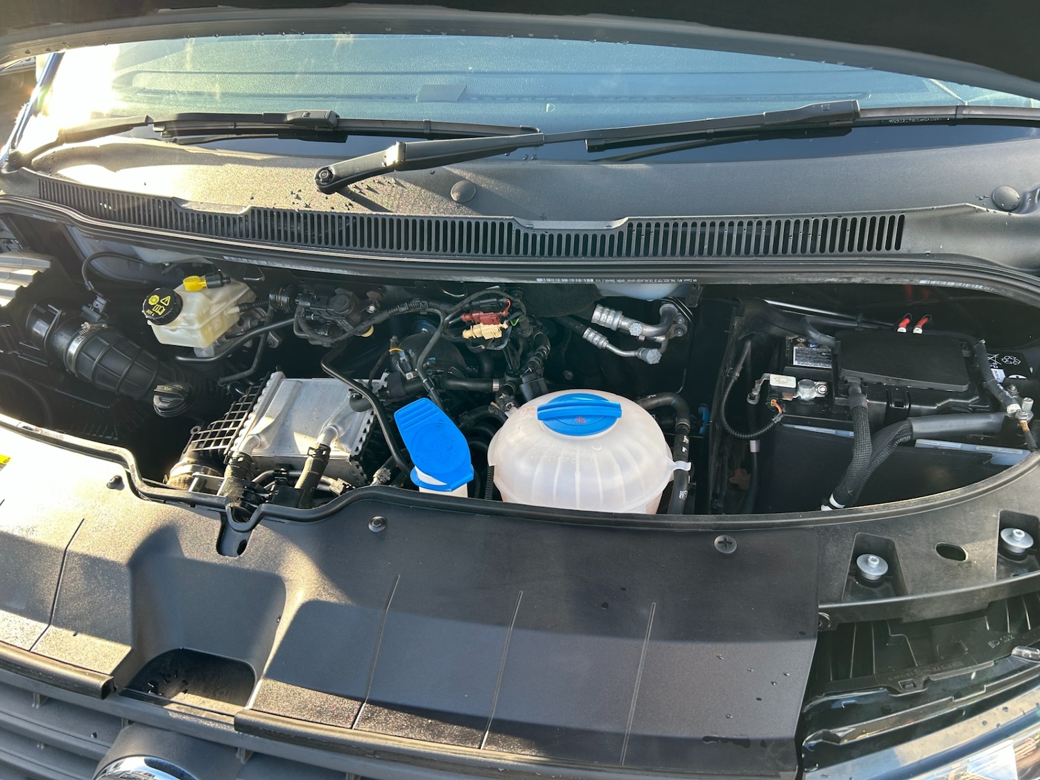 Used Volkswagen Transporter Shuttle 2020 for sale - 77336297: Photo 24