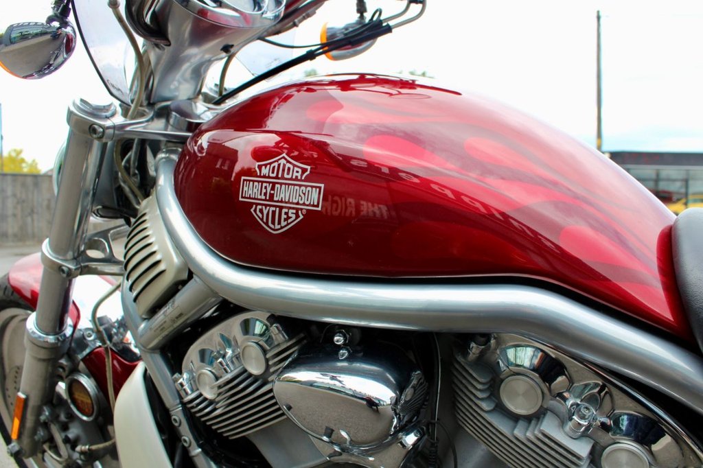 Used Harley-Davidson VRSCA V-ROD 2005 for sale - 78657876: Photo 6