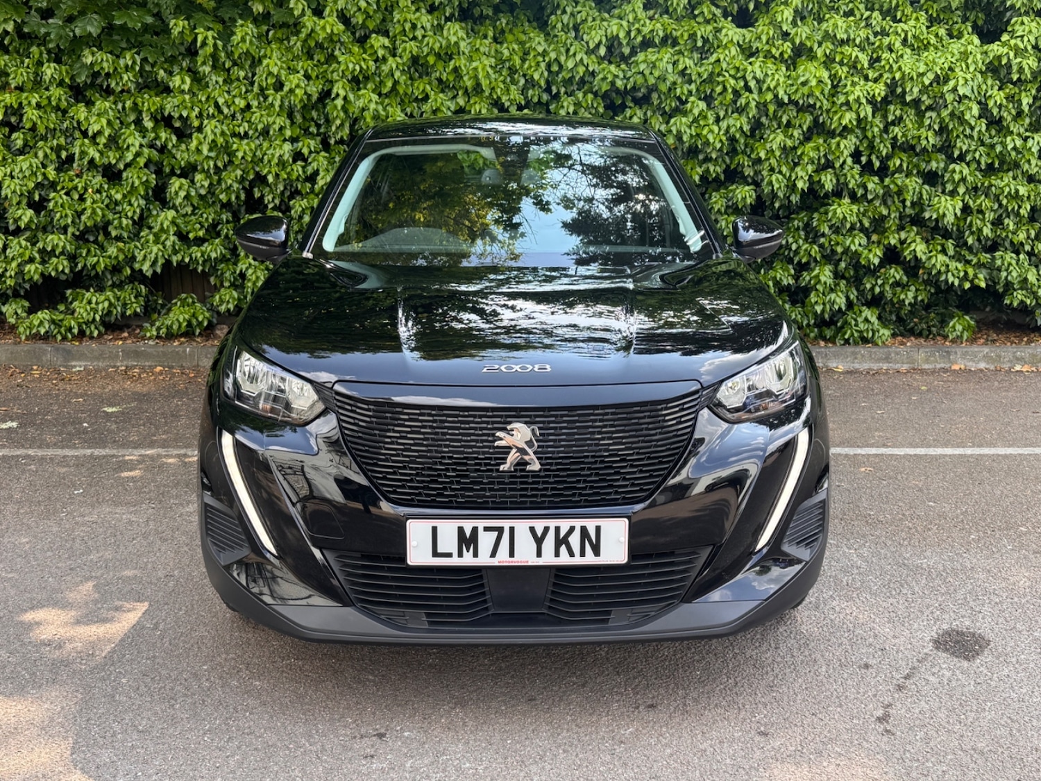 Vehicle 29