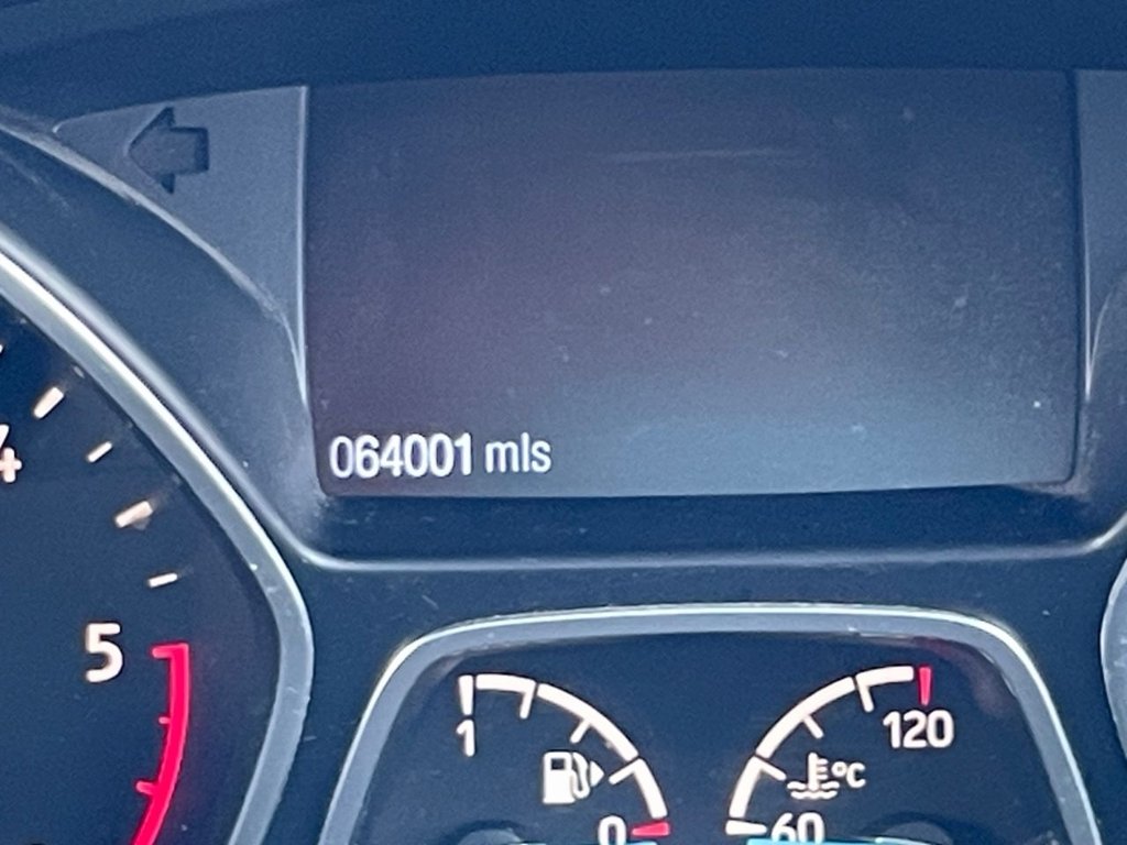 Used Ford Kuga 2019 for sale - 77313531: Photo 8