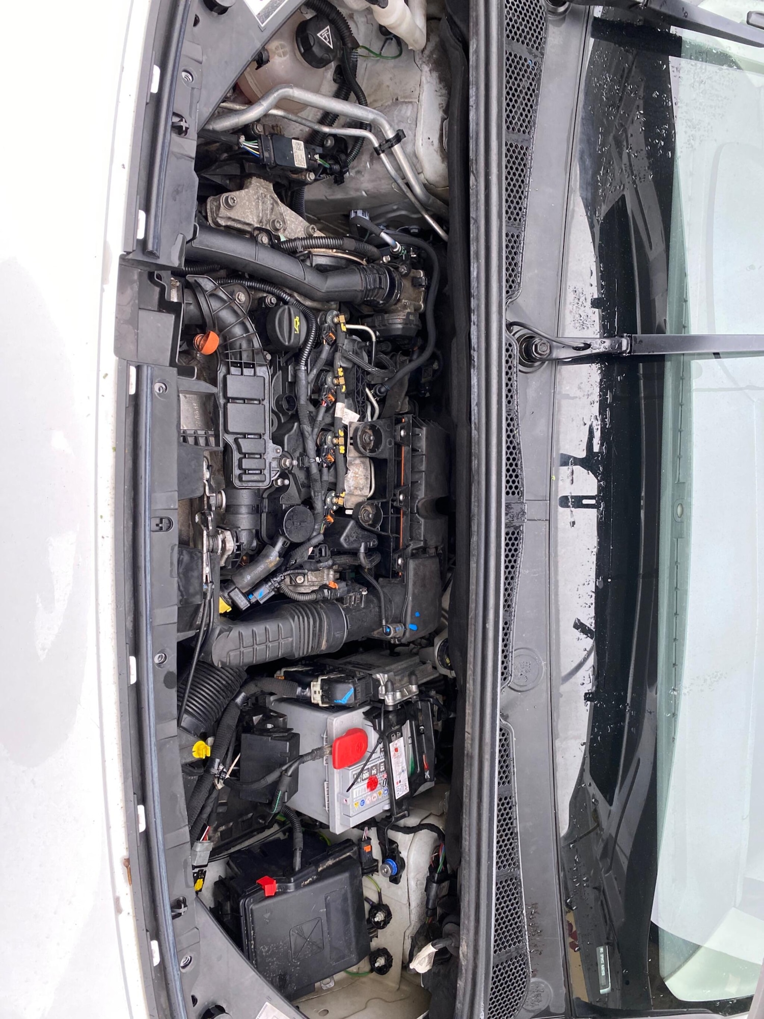 Used Peugeot Partner 2022 for sale - 77479487: Photo 24