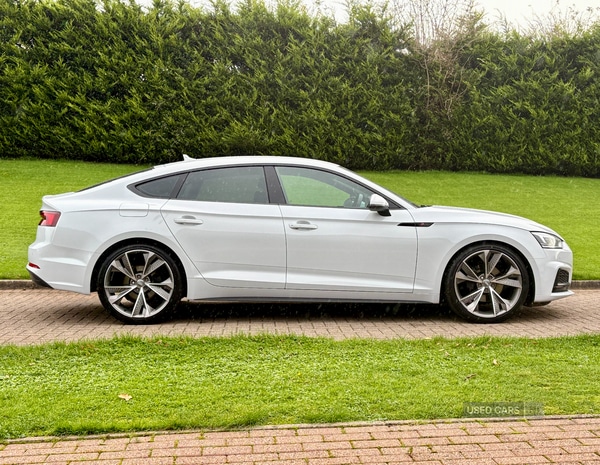 Used Audi A5 2019 for sale - 76458212: Photo 7