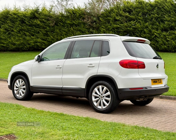 Used Volkswagen Tiguan 2014 for sale - 76167817: Photo 4