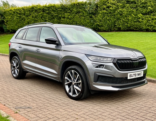 Used Skoda Kodiaq 2024 for sale - 72328462: Photo 1