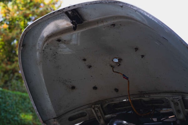 Used Volkswagen Beetle 1969 for sale - 76021558: Photo 20