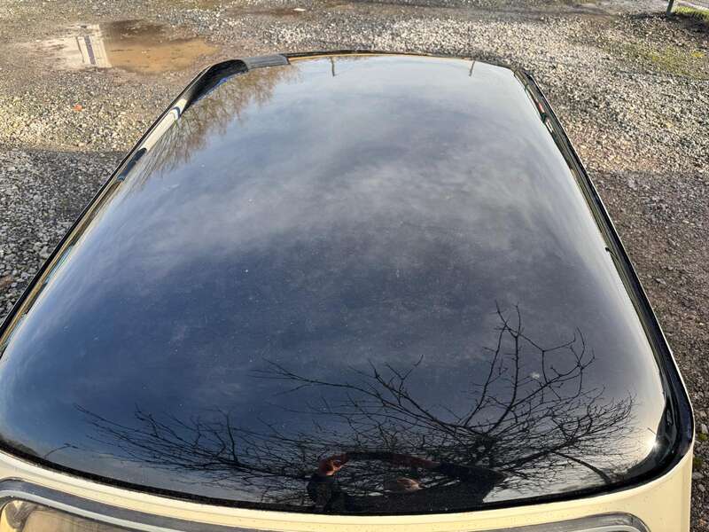 Used Austin Mini 1967 for sale - 77456656: Photo 18